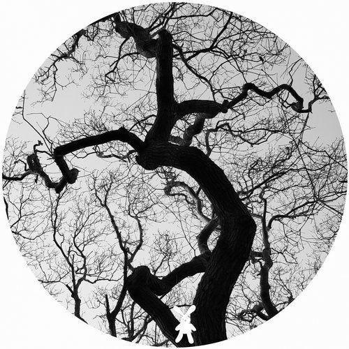 Cover art for Afterlife