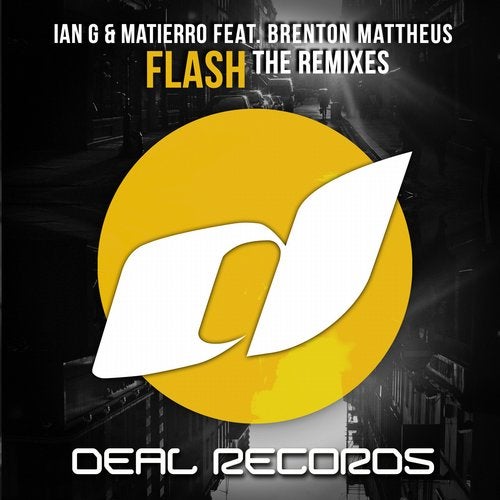 Flash - The Remixes