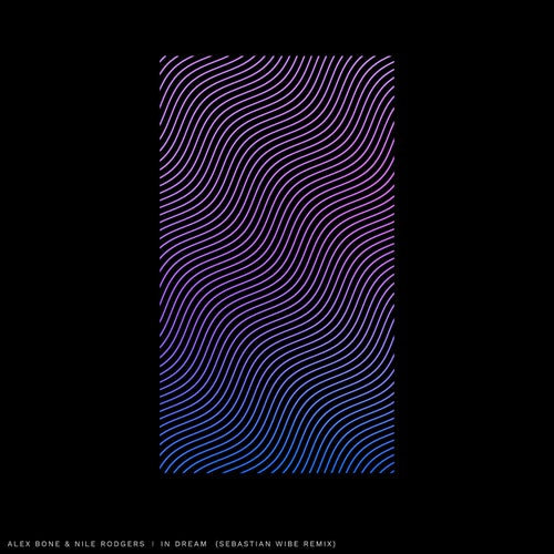 In Dream (Sebastian Wibe Remix)