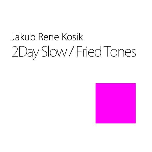2Day Slow / Fried Tones