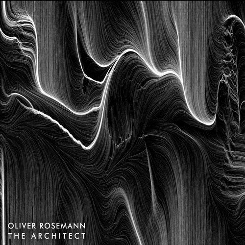 Cover art for The Architect