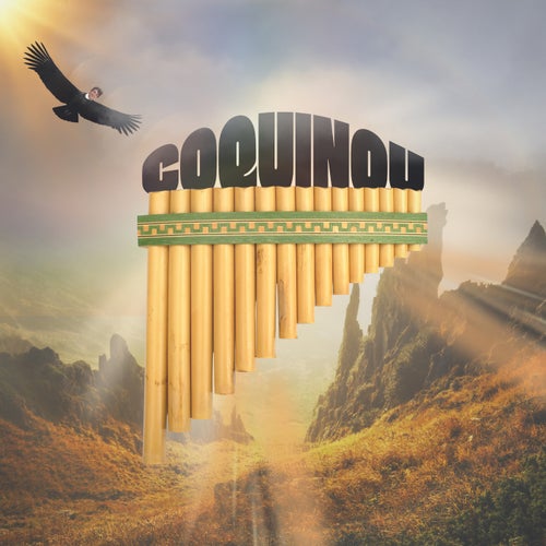 Coquinou