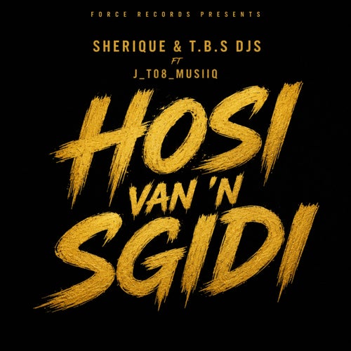 Hosi Van a Sgidi