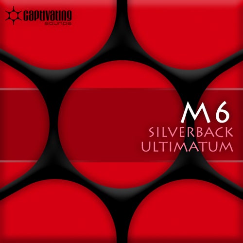 Silverback / Ultimatum