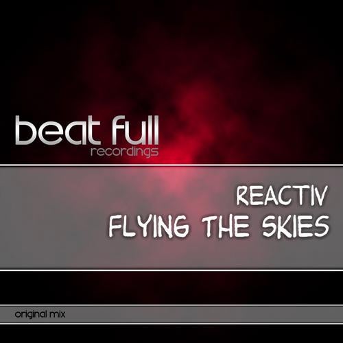 Flying The Skies