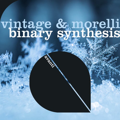 Binary Synthesis