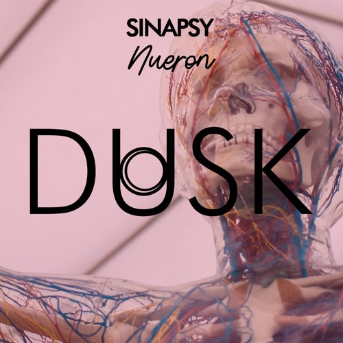 Nueron