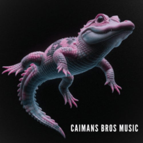 CAIMAN BROS MUSIC