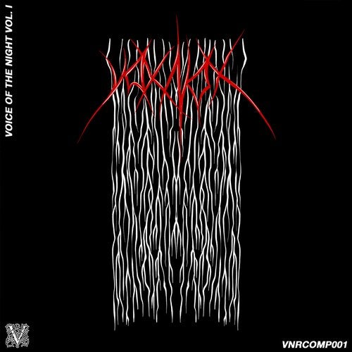 Cover art for Voice Of The Night Vol. 1