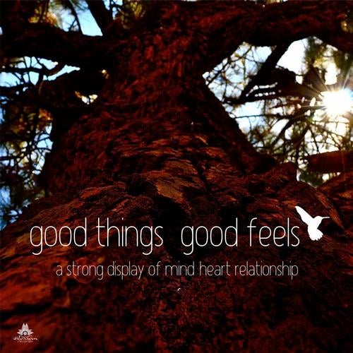 Good Things Good Feels