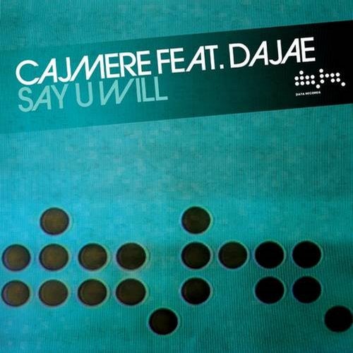 Pochette de l'album Say U Will (Remixes)