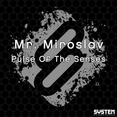 Pulse Of The Senses - Single