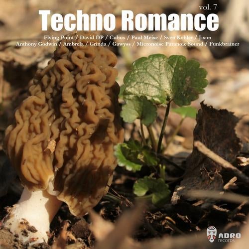 Techno Romance, Vol. 7