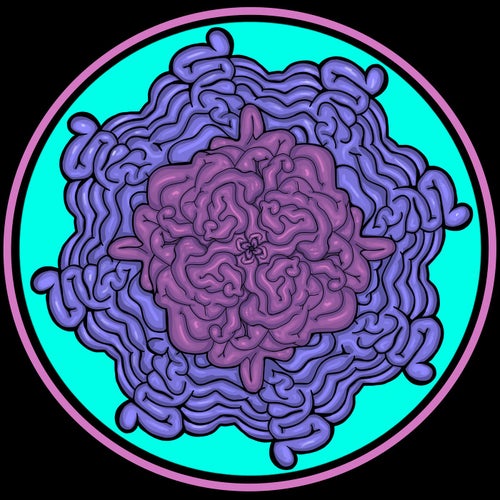 Mind Music