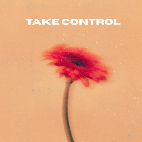 Take Control (Extended Mix)