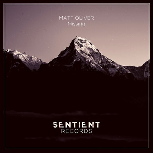 Cover art for Missing