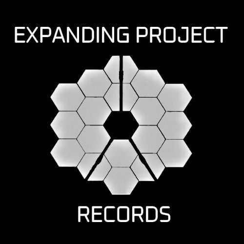 Expanding Project Records