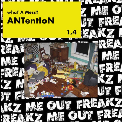What a Mess?