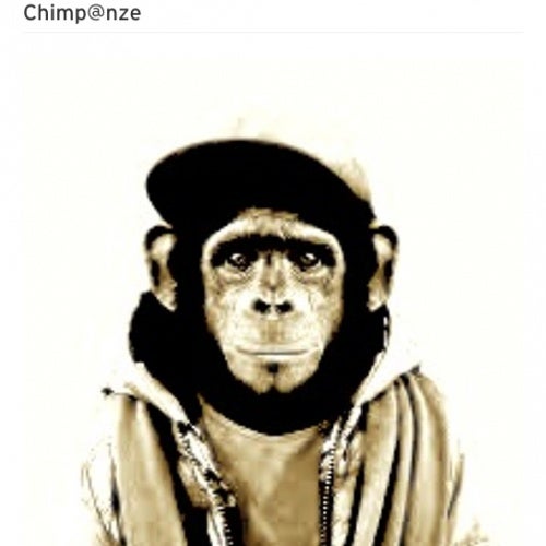 Chimp@nze