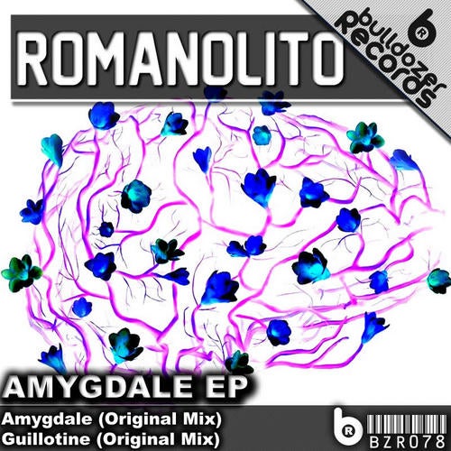 Amygdale