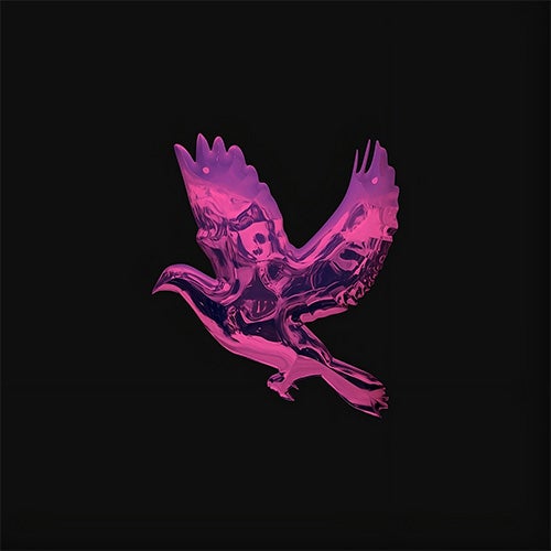 Clockwork Pigeon