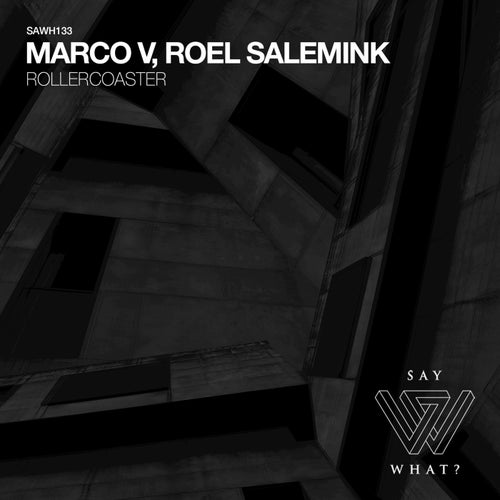 Cover art for Rollercoaster