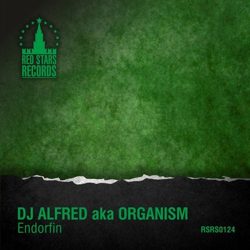 Эндорфин ремикс. Endorfin Light. Копия Пиратская Endorfin Remix. The Organism DJ. DJ Organic.