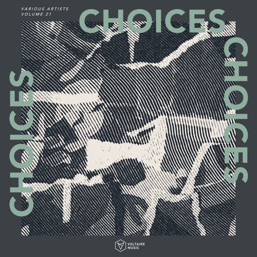 Voltaire Music Pres. Choices Vol. 21