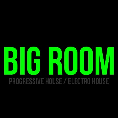 BIG ROOM / TOP 10 / MAY 2017