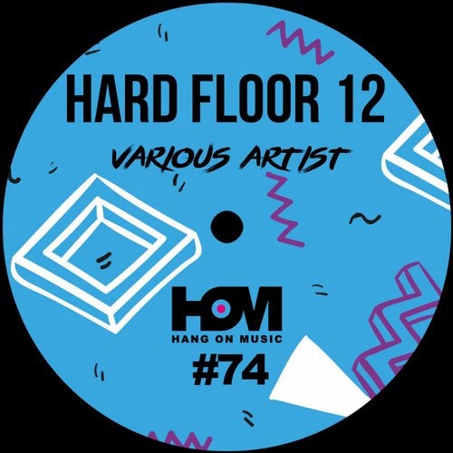 Cover art for Hard Floor 12