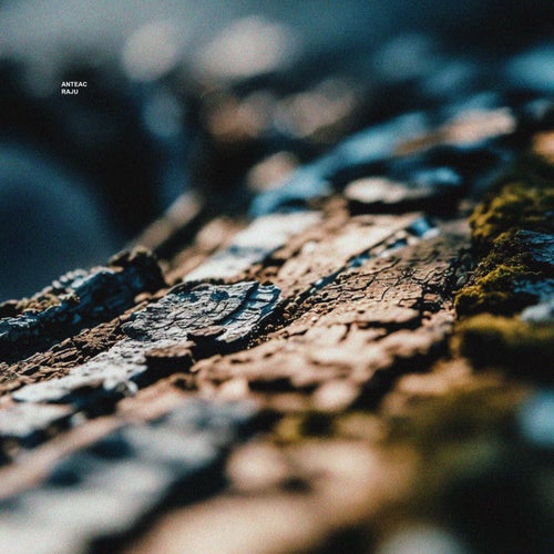 Anteac — Raju (2026)
