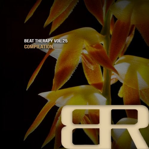 Cover art for Beat Therapy, Vol. 25 Compilation