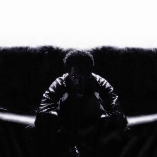 Cover art for TIMELESS
