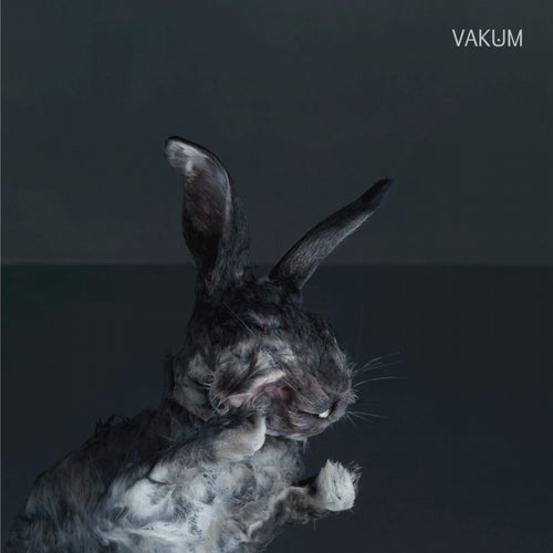 Vakum