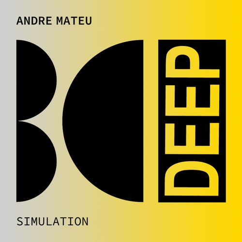 Simulation