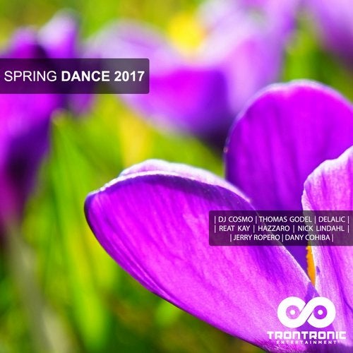 Cover art for Spring Dance 2017: The Best Dance Music (House, Deep House, EDM, Dance)