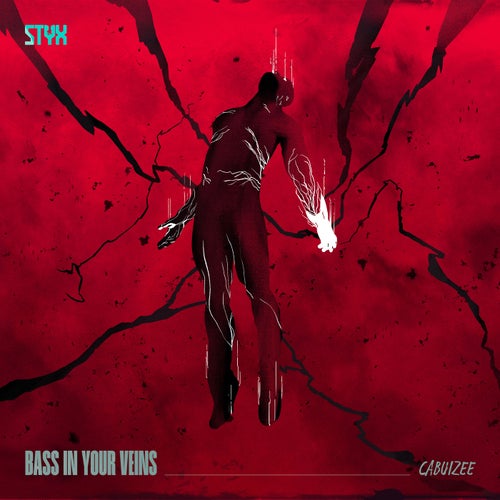 Bass In Your Veins (Extended Mix)