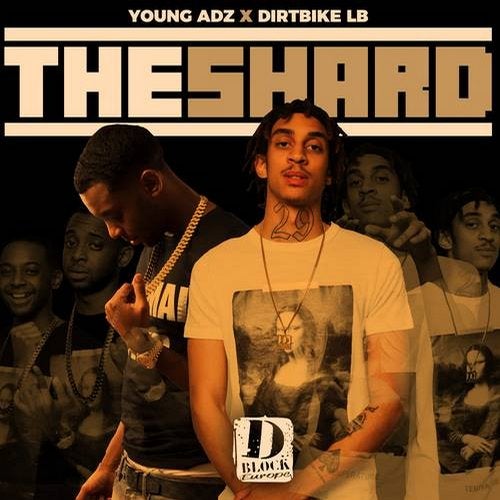 Cover art for The Shard