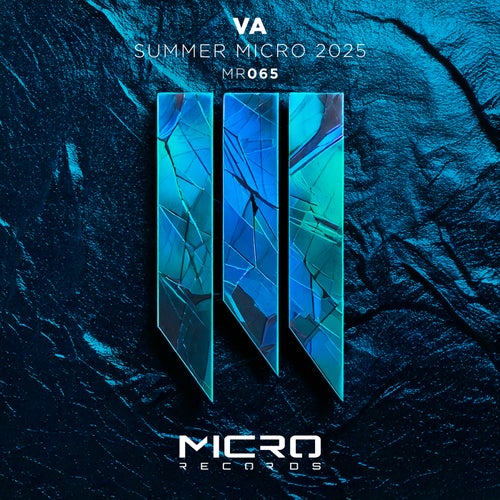 VA Summer 2025