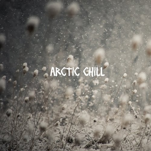 Arctic Chill