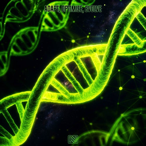 Adapt, Optimize, Evolve (Definitive Mix)