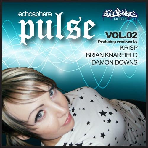 Pulse - 2010 Remixes Vol. 2