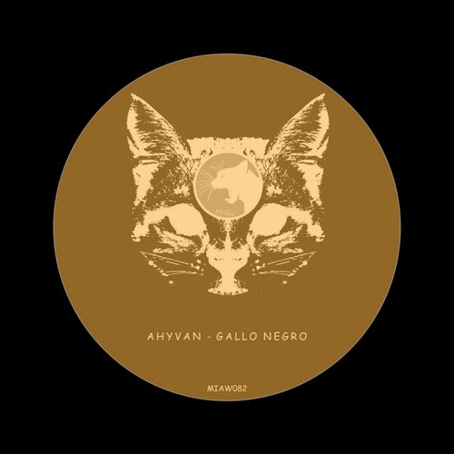 Gallo Negro