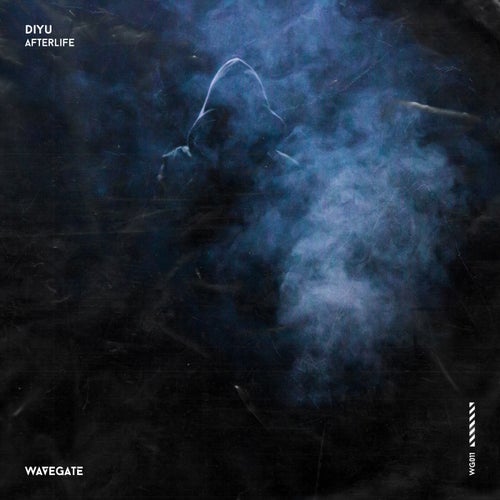 Cover art for Afterlife