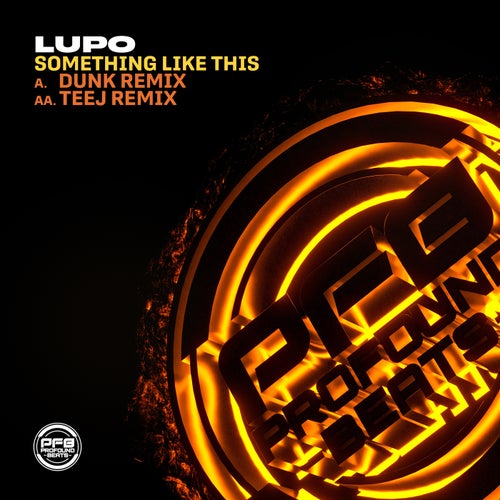Cover art for Something Like Dis (Remixes)
