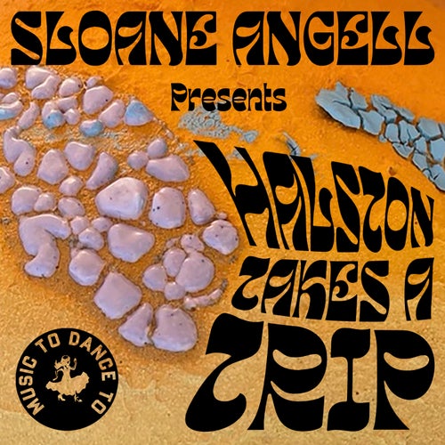 Cover art for Halston Takes a Trip