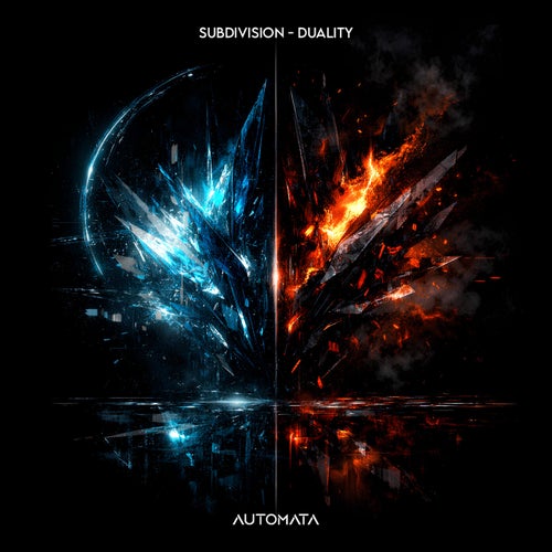 Duality