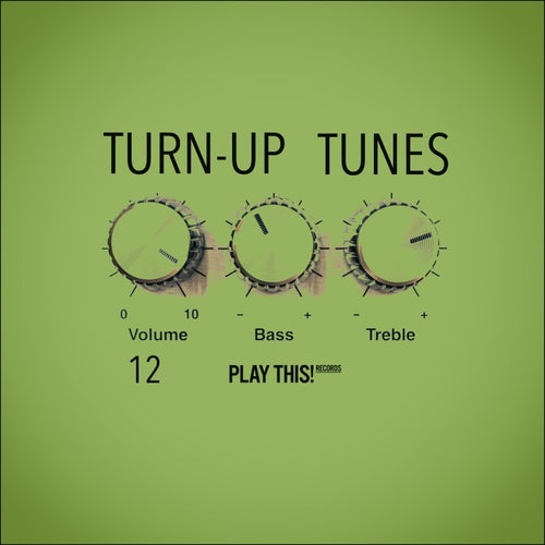 Turn-Up Tunes, Vol.12