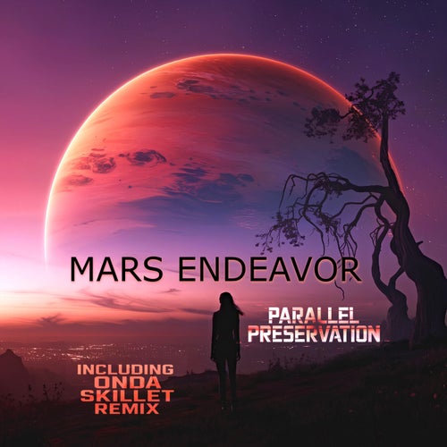 Mars Endeavor