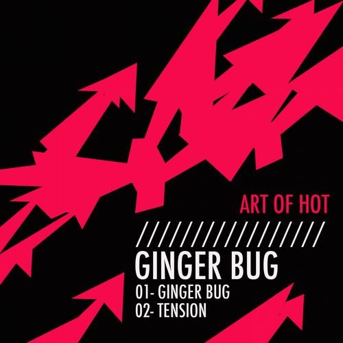 Ginger Bug